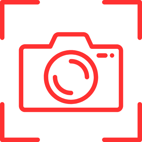 Vixentempress25